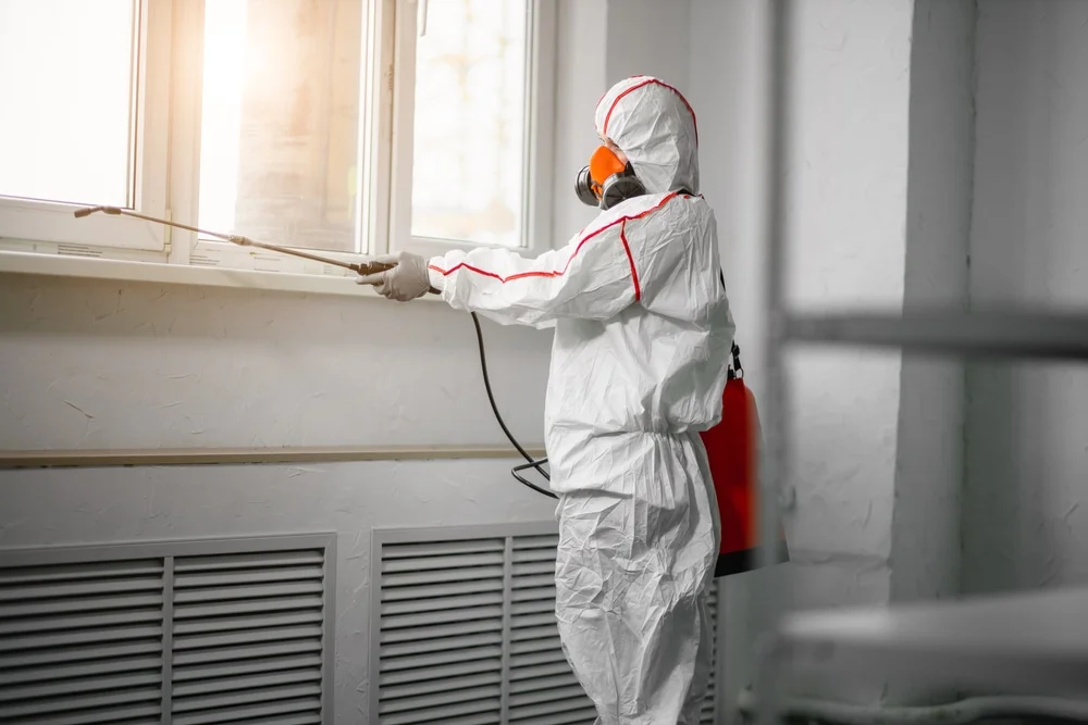 Professional mold remediation services in Litchfield, OH